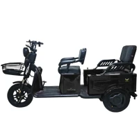 Электротрицикл Yasmand Трансформер Li-ion